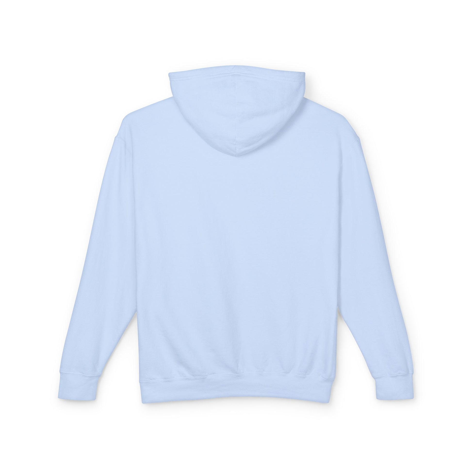 Backside of the Hydrangea or Light Blue Alfa Romeo Racing hoodie with no designs on the back.
